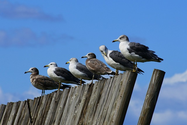 Le coaching en leadership pour aligner ton authenticité aux attentes de ton organisation.